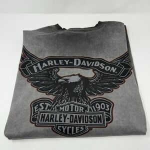 Harley-Davidson Men's Iron Block Distressed Med Long Sleeve Tee, Gray 99010-17VM